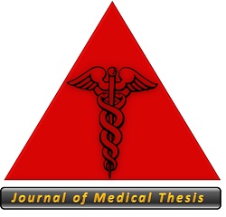 JMT Logo